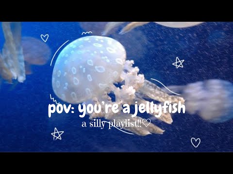 pov: you're a jellyfish ଳ⋆｡𖦹° [playlist]
