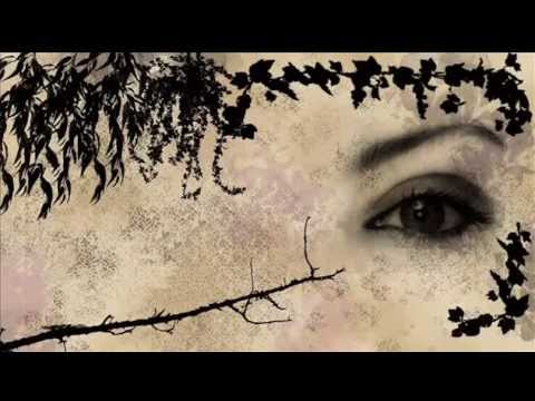 Parijat - Most Beautiful Splendour-Lukas Termena Mix (eTernalmusicradio rework)