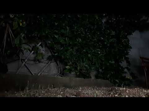 il video che consiglia Fabrizio Corona contro la depressione , guardare fino alla fine