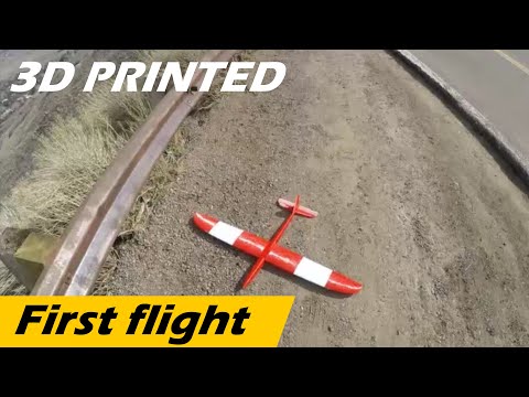 Roughgen 1.2M -  3D Printed R/C Glider