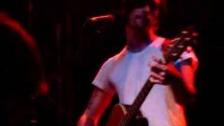 The Honorary Title- Petals