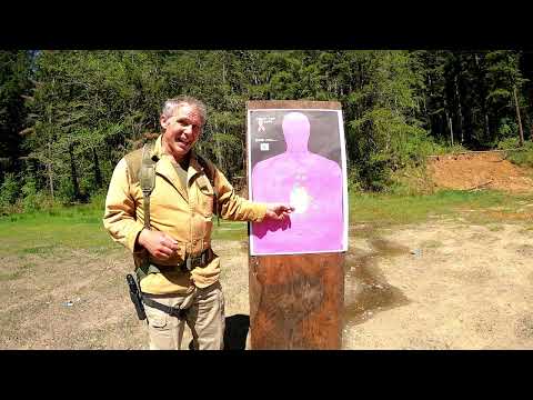 Personal Protection: Laugo Alien 9x19mm Pistol vs IWI 941R Jericho