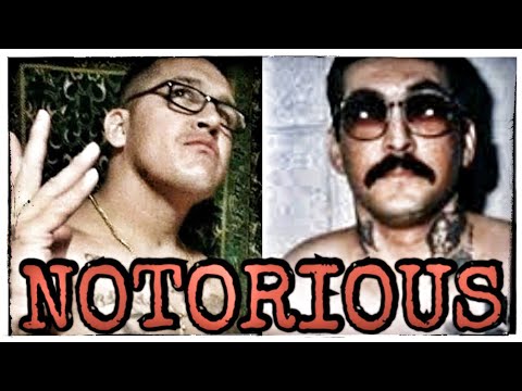 most notorious dropouts ...boxer and snoop