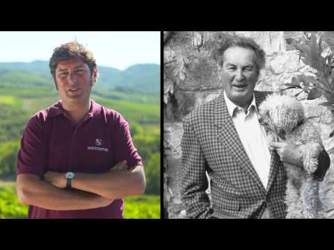 The Wines of Tuscany