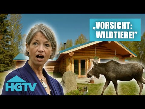 Alaska Immobilien: Hier laufen Elche durch den Garten!🫎😍 | Mein Haus in Alaska | MARATHON