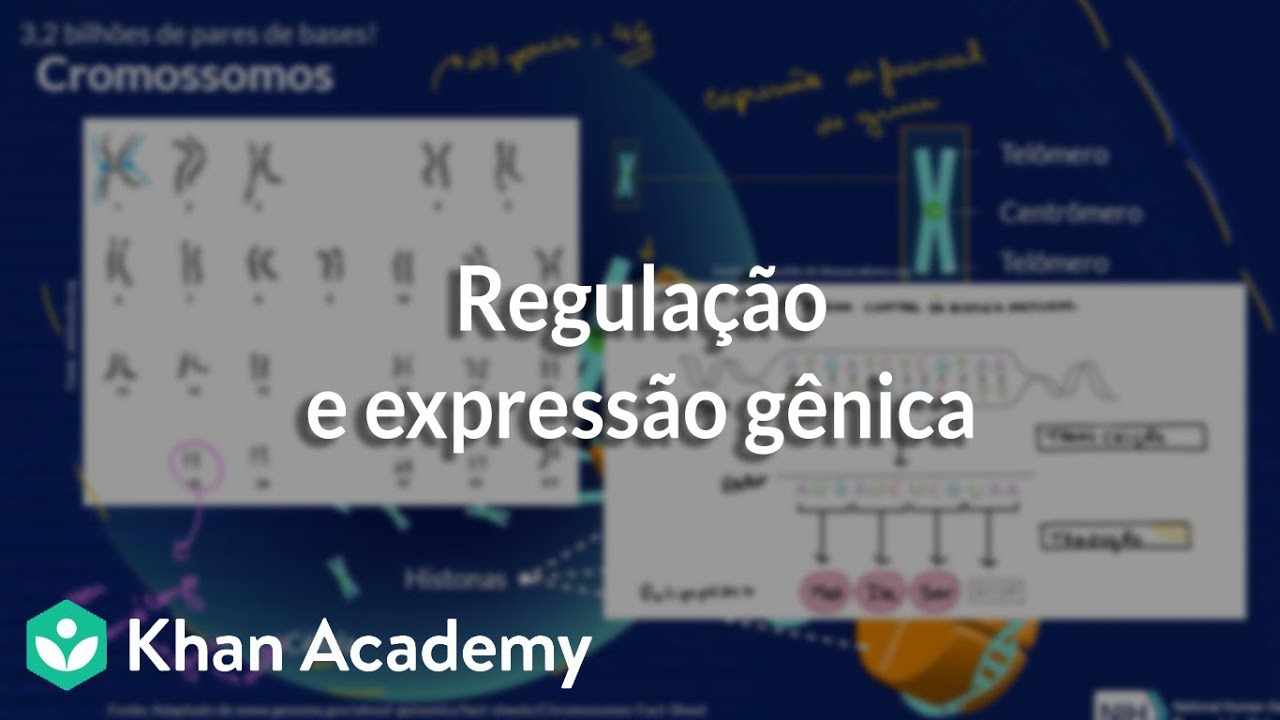 Regulação e expressão gênica