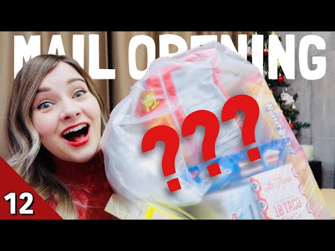 你們送來的開幕式禮物!?粉絲郵件打開2019年聖誕節 (Opening Presents From You Guys! ? Fan Mail Opening Christmas 2019)