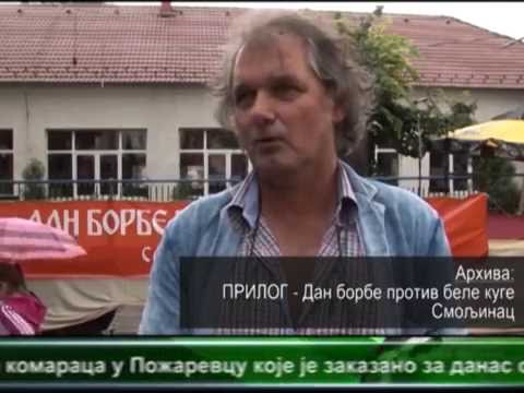 IN MEMORIAM: Milorad Mandić Manda (16.06.2016.)