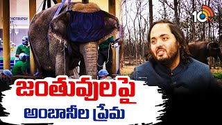 Reliance Foundation Vantara An Animal Rescue Center | జంతు సంరక్షణకు రిలయన్స్‌ కృత్రిమ అడవి