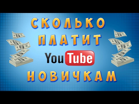 Сколько платит Ютюб начинающим за просмотры и как забрать деньги