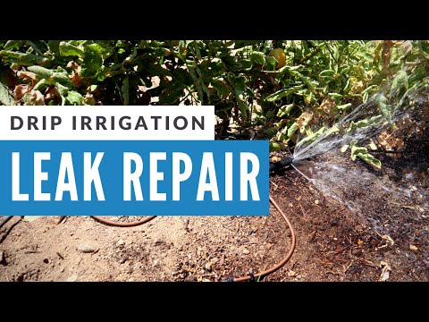 How to Repair a Broken Drip Irrigation Line | Quick and Easy Fix!