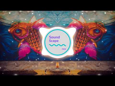 El Baile Del Pescao 🐠(Tech House 2023)  Robert Morr, Javi Torres 🎵 COPYRIGHT FREE 🎵