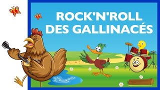 Rock'n'roll des gallinacés Comptine HD