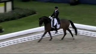 Video von Delaunay OLD