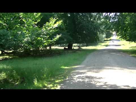 MongoTV_559 - Del 33 - Cykeltur Til Lyngby-Jægersborg-Gentofte-Charlottenlund-Klampenborg