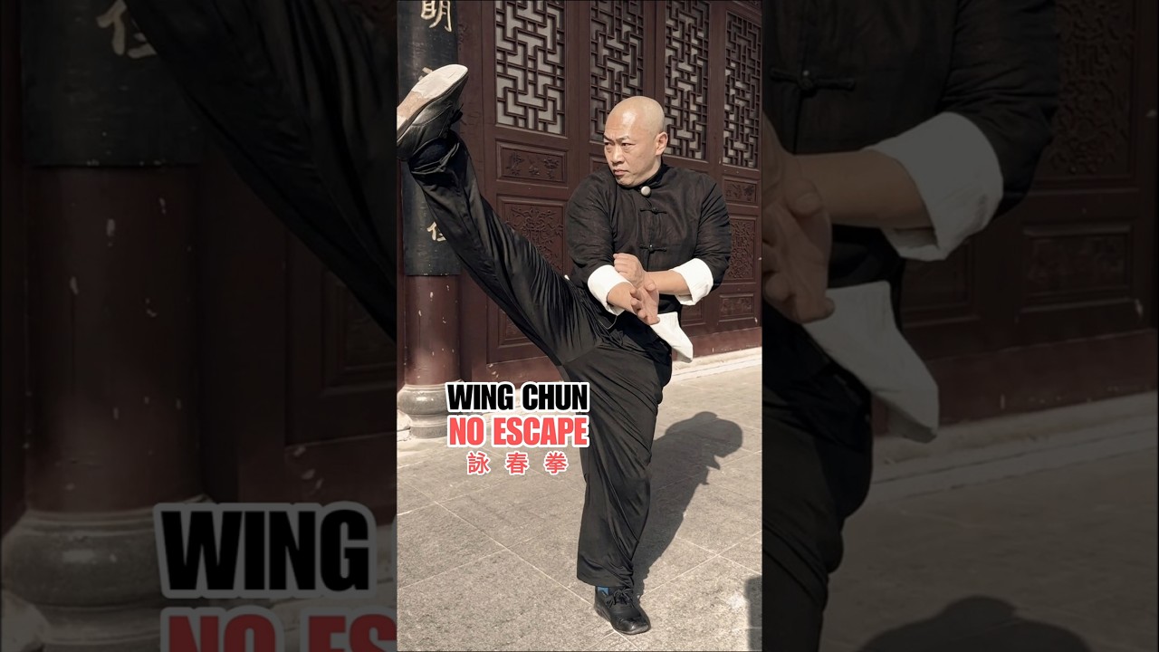 Wing Chun⚡Relentless Chain Strikes — No Escape