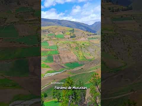 Páramo de Mucuchíes estado Mérida Venezuela #paramo #merida #venezuela