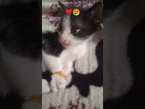 Pau manika 😢❤️