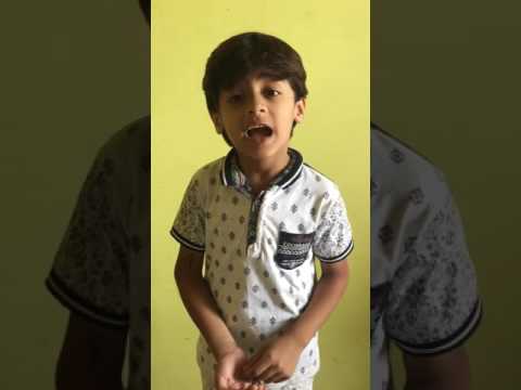 Toshi Shaikh Toshi Shaikh