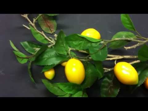 15515 RAMO LIMONI 54 LVS 7 FRUIT cm.100 D15839 www.cicognanisrl.it