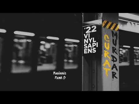 Vinyl Sapiens & Phunk B – Maglavais