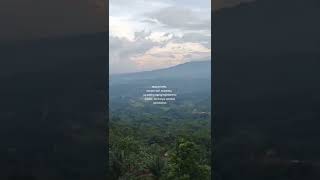 Download lagu 🔴versi kata kata  bucin-sindiran //story wa terbaru 2022 mp3