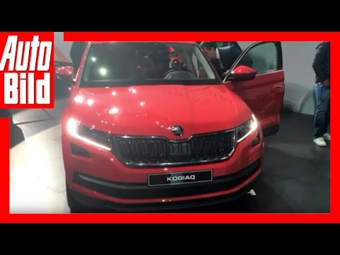 Walkaround Skoda Kodiaq SUV -AUTO BILD Quick Shot