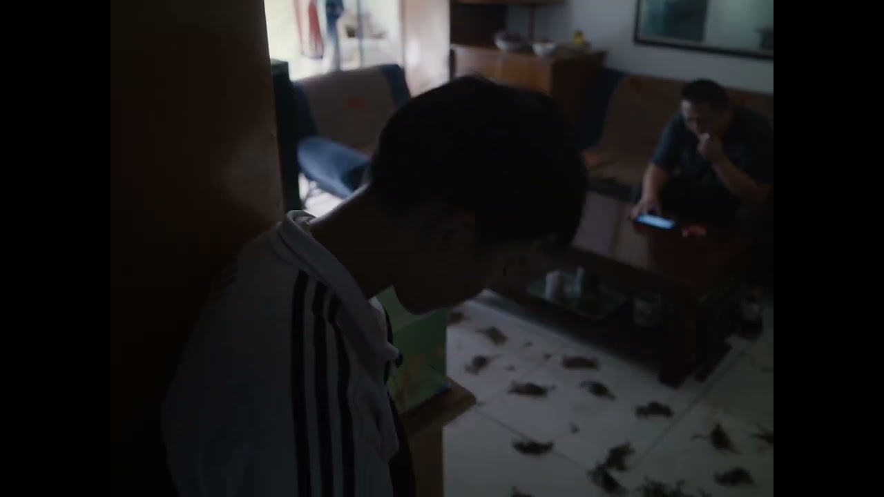 Three Crabs - TRAILER