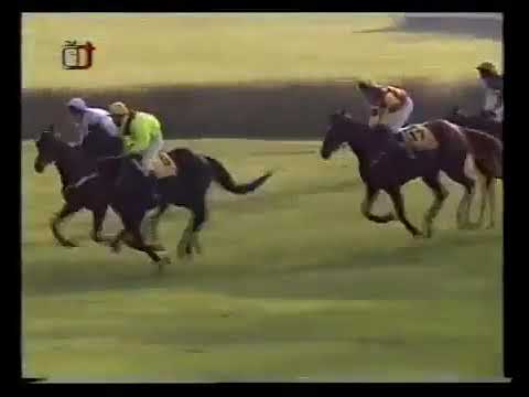 106  Velká pardubická steeplechase   1996