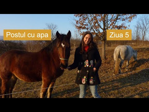 rea pentru viziune bună