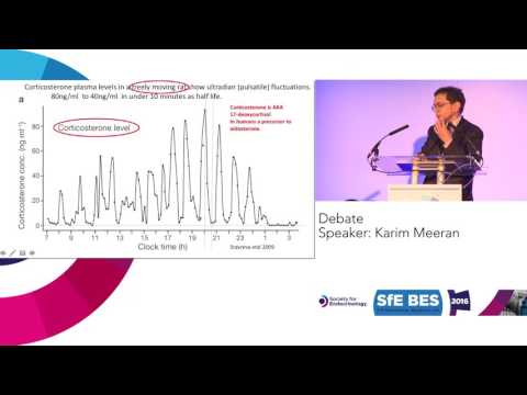 Debate: Karim Meeran and Stafford Lightman