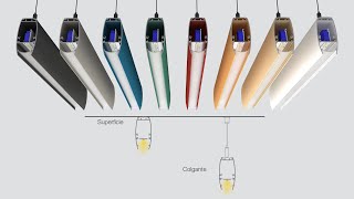 led profile Ricardo