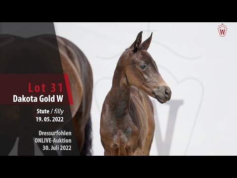OnLive-Auktion Lot 31 Dakota Gold W Stute v. Despacito - Fürstenball