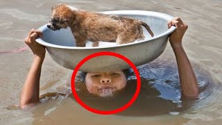 10 Amazing Animal Rescues
