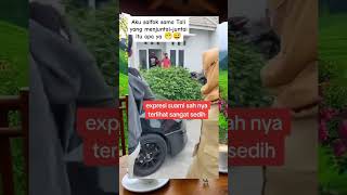 Download lagu apaasi alasan orang selingkuh #pns #selingkuh #selingkuhan mp3 Download lagu apaasi alasan orang selingkuh #pns #selingkuh #selingkuhan mp3