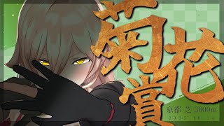 【競馬同時視聴】2025年 菊花賞 同時視聴【ニュイ・ソシエール/にじさんじ】