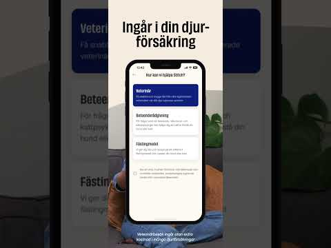 FirstVet - Veterinär i mobilen