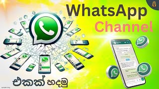 Create WhatsApp Channel – Sinhala Guide
