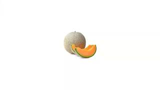 Cover art for cantaloupe