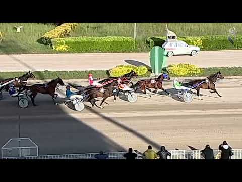 Aversa trotto 8 Aprile 2023 - 7° Corsa