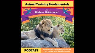 35 - Reinforcement Tactics. Different Types, What They Look Like, and How You Can Use Them