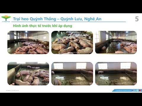 Báo cáo kết quả thực nghiệm