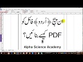 How To Save Inpage File As A PDF File