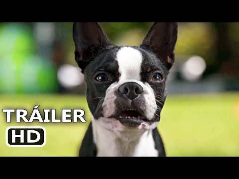 VIDA PERRA Tráiler Español (2023)