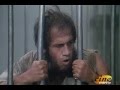 Bingo Bongo Adriano Celentano 