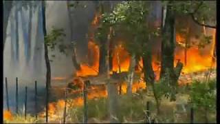 The 2009 Black Saturday Bushfires (Australia)