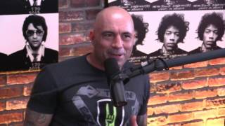 Joe Rogan and Gavin McInnes Discuss the Islam-Inbreeding Connection