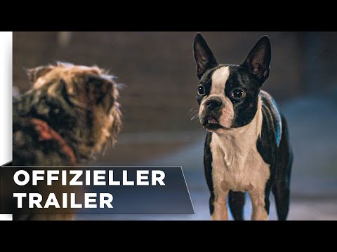 Offizieller Green Band Trailer