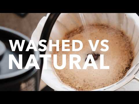 How to brew coffee on a V60 - Washed vs Natural Gesha