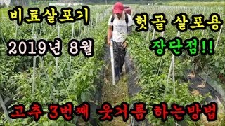 고추농사 고추3번째 웃거름 NK비료를 비료살포기에 넣어서 헛골에 뿌려주는 작업을 하였습니다